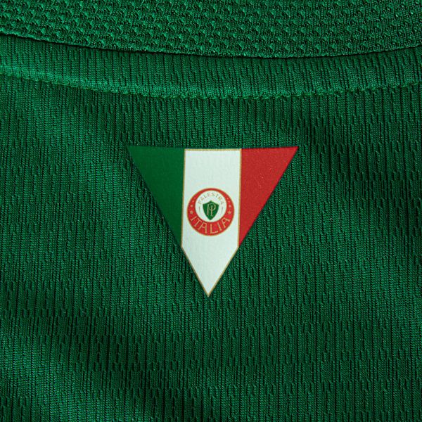 Camisa Palmeiras  2026