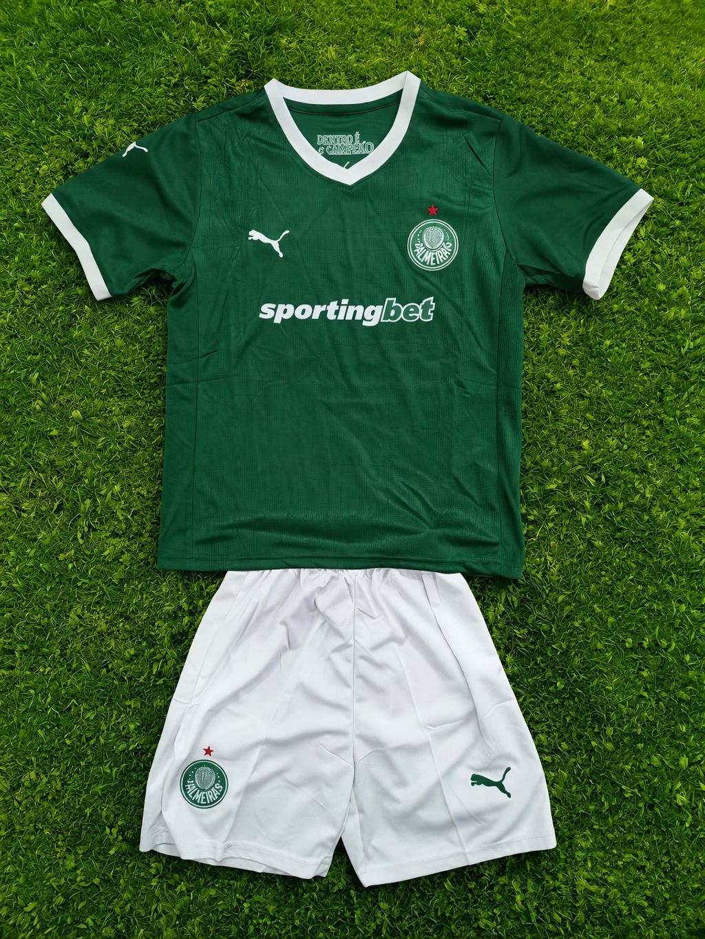 Conjunto Infantil Palmeiras Oficial Verde e Branco