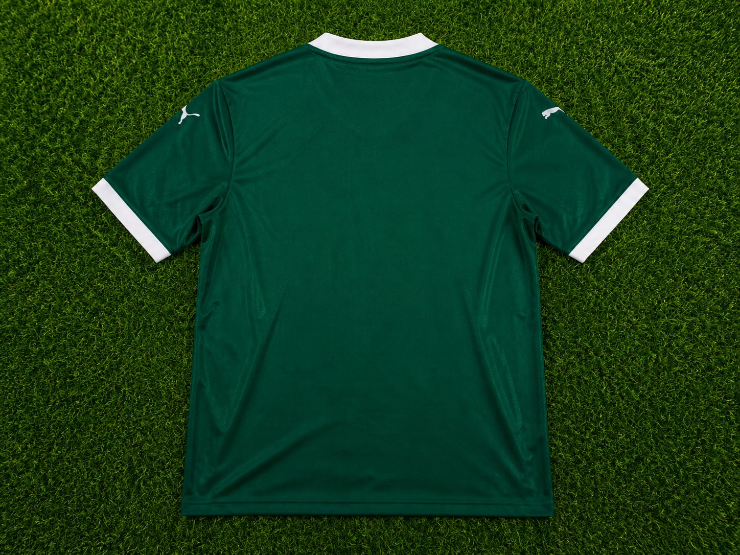 PALMEIRAS 2026 VERSÃO  JOGADOR